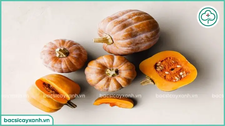 Cách Trồng Rau Bí Đỏ Lấy Ngọn Hiệu Quả Tại Nhà Cách Trồng Rau Bí Đỏ Lấy Ngọn Hiệu Quả Tại Nhà