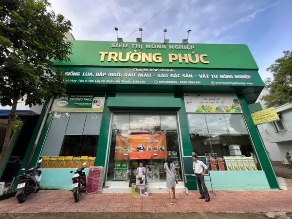 Cách Trồng Rau Muống Nước Tại Nhà Dễ Dàng, Nhanh Tốt