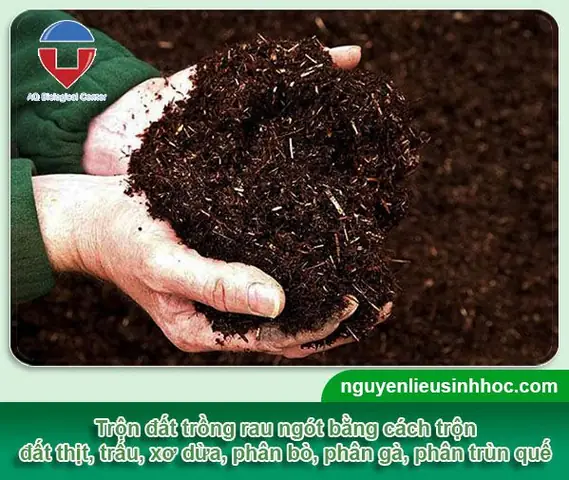 Hướng Dẫn Trồng Rau Ngót Từ Hạt: Từ A-Z Cho Vườn Rau Tươi Tốt