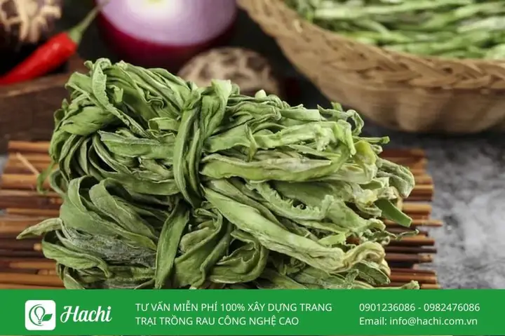 Cách Trồng Rau Tiến Vua Tại Nhà: Hướng Dẫn Chi Tiết Từ A-Z Cách Trồng Rau Tiến Vua Tại Nhà: Hướng Dẫn Chi Tiết Từ A-Z