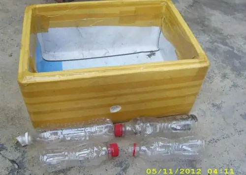 Hướng Dẫn Chi Tiết Cách Trồng Rau Trong Hộp Sữa Đơn Giản Tại Nhà