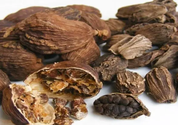 Cách Trồng Thảo Quả Đạt Năng Suất Cao, Làm Giàu Bền Vững