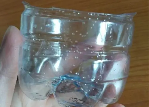 Cách Trồng Tỏi Trong Lọ/chai Nhựa Tại Nhà Đơn Giản, Nhanh Thu Hoạch