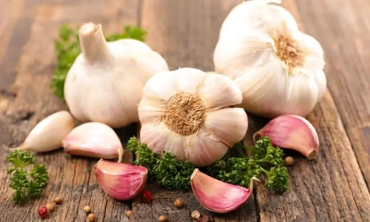Cách Trồng Tỏi Tại Nhà Từ Củ: Hướng Dẫn Chi Tiết Cho Người Mới Bắt Đầu Cách Trồng Tỏi Tại Nhà Từ Củ: Hướng Dẫn Chi Tiết Cho Người Mới Bắt Đầu