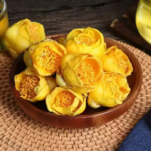 Hướng Dẫn Trồng Và Chăm Sóc Cây Trà Hoa Vàng Toàn Diện