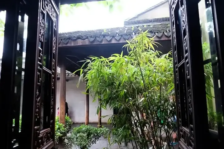 Cách Trồng Tre Cảnh Thẩm Mỹ, Mang Lại Tài Lộc & Vượng Khí Cho Ngôi Nhà