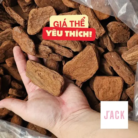 Hướng Dẫn Toàn Diện Cách Trồng Và Chăm Sóc Hoa Lan Cho Người Mới Bắt Đầu Hướng Dẫn Toàn Diện Cách Trồng Và Chăm Sóc Hoa Lan Cho Người Mới Bắt Đầu