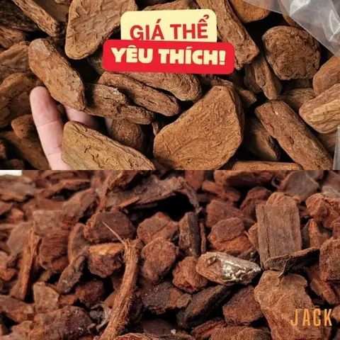 Cách Xử Lý Giá Thể Trồng Lan Đúng Chuẩn: Hướng Dẫn Chi Tiết Từ A-Z