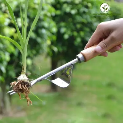 Cách Xử Lý Gỗ Lũa Trồng Lan Chuẩn Chuyên Gia: Hướng Dẫn Chi Tiết Cách Xử Lý Gỗ Lũa Trồng Lan Chuẩn Chuyên Gia: Hướng Dẫn Chi Tiết