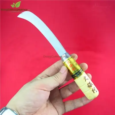 Cách Xử Lý Gỗ Lũa Trồng Lan Chuẩn Chuyên Gia: Hướng Dẫn Chi Tiết Cách Xử Lý Gỗ Lũa Trồng Lan Chuẩn Chuyên Gia: Hướng Dẫn Chi Tiết