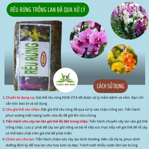 Cách Xử Lý Rêu Trên Giá Thể Trồng Lan Hiệu Quả Cho Cây Khỏe Mạnh Cách Xử Lý Rêu Trên Giá Thể Trồng Lan Hiệu Quả Cho Cây Khỏe Mạnh