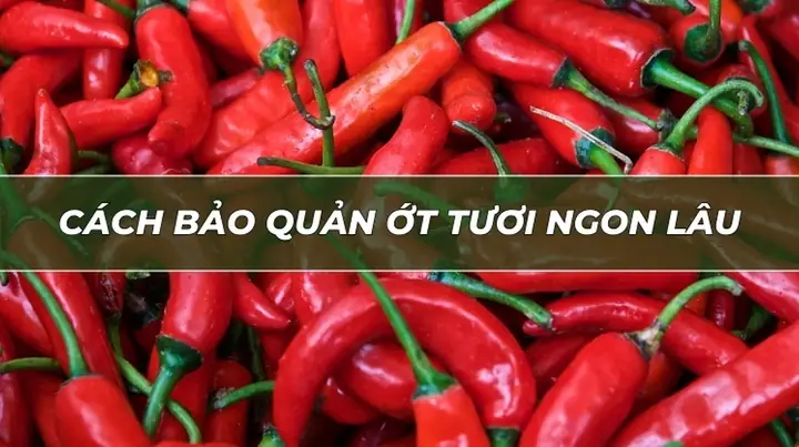 Cách Bảo Quản Ớt Sau Thu Hoạch Tươi Lâu, Ít Bị Héo Cách Bảo Quản Ớt Sau Thu Hoạch Tươi Lâu, Ít Bị Héo