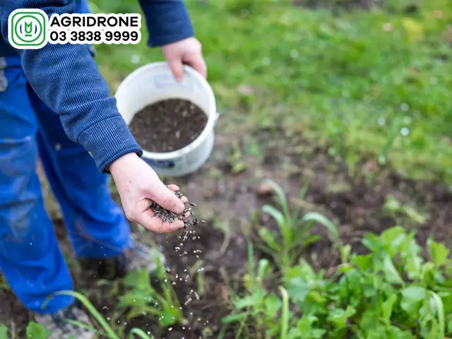 Cách Bón Lót Cây Trồng Đúng Kỹ Thuật: Chọn Phân, Tính Liều Và Quy Trình