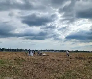 Cách Bứng Cây Trồng Sang Nơi Khác: Quy Trình Từng Bước Giúp Cây Sống Tốt