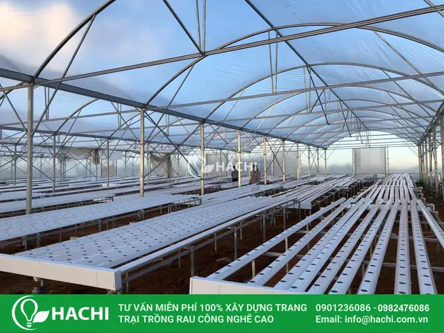 Cách Canh Khung Lưới Khi Trồng Tràm Hoặc Trầm: Hướng Dẫn Lắp Đặt Và Chăm Sóc