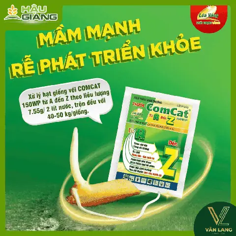 Cách Canh Khung Lưới Khi Trồng Tràm Hoặc Trầm: Hướng Dẫn Lắp Đặt Và Chăm Sóc