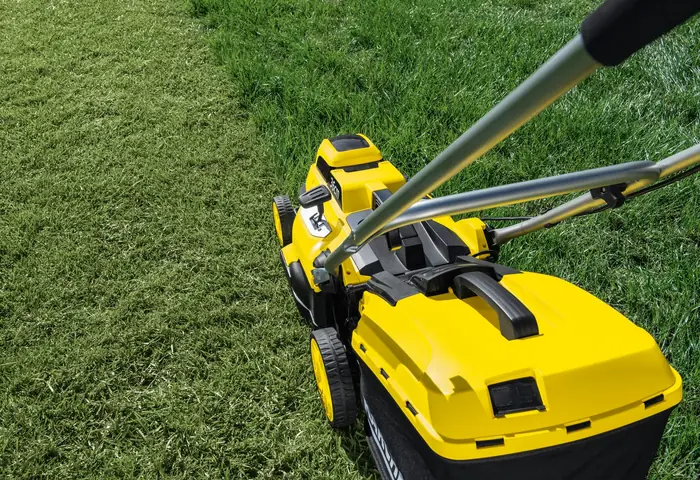 Hướng Dẫn Cắt Cỏ Đúng Cách Cho Cây Trồng Vườn Sân Đẹp Hướng Dẫn Cắt Cỏ Đúng Cách Cho Cây Trồng Vườn Sân Đẹp