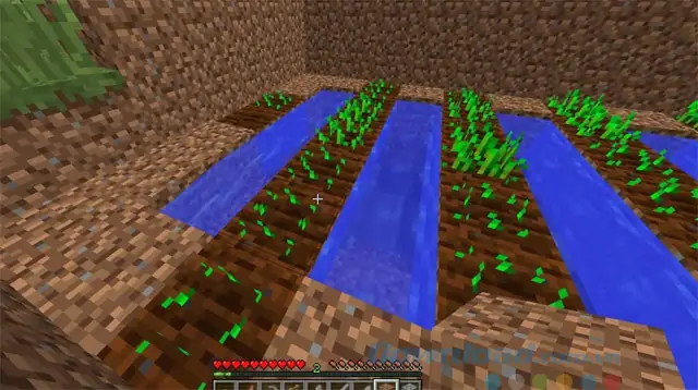 Cách Trồng Và Chế Biến Lúa Mì Trong Minecraft: Từ Hạt Giống Đến Bánh Mì Cách Trồng Và Chế Biến Lúa Mì Trong Minecraft: Từ Hạt Giống Đến Bánh Mì