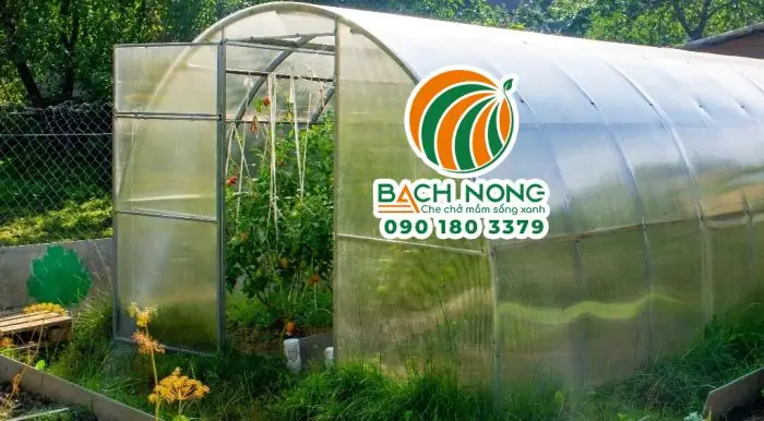 Hướng Dẫn Cách Dựng Nhà Trồng Rau Sạch (nhà Lưới, Nhà Kính, Nhà Màng): Quy Trình, Vật Tư, Chi Phí & Tiêu Chí Chọn Loại Phù Hợp