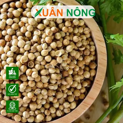 Cách Gieo Hạt Để Trồng Rau Sạch Tại Nhà: Ngâm, Ủ Và Gieo Cho Hạt Nảy Mầm Đều Cách Gieo Hạt Để Trồng Rau Sạch Tại Nhà: Ngâm, Ủ Và Gieo Cho Hạt Nảy Mầm Đều