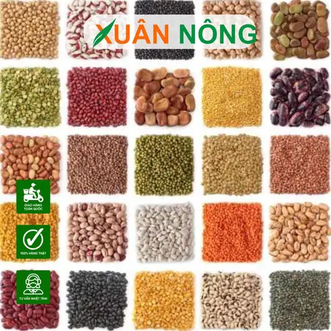 Cách Gieo Hạt Để Trồng Rau Sạch Tại Nhà: Ngâm, Ủ Và Gieo Cho Hạt Nảy Mầm Đều Cách Gieo Hạt Để Trồng Rau Sạch Tại Nhà: Ngâm, Ủ Và Gieo Cho Hạt Nảy Mầm Đều