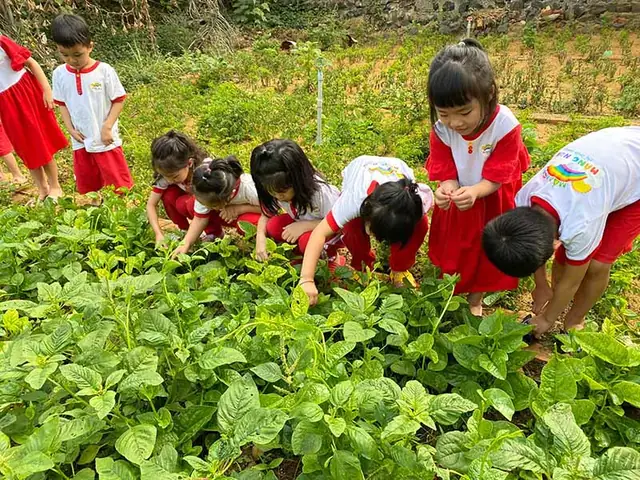 Cách Hạn Chế Sâu Khi Trồng Rau Sạch: Phòng Trừ An Toàn Cho Vườn Rau Tại Nhà Cách Hạn Chế Sâu Khi Trồng Rau Sạch: Phòng Trừ An Toàn Cho Vườn Rau Tại Nhà