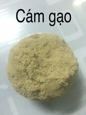 Cách Làm Cám Gạo Ủ Men Vi Sinh Để Trồng Nấm Tại Nhà