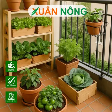 Cách Làm Chậu Cây Trồng Trên Sân Thượng: Từ Thùng Xốp, Gỗ Đến Bồn Gạch Cách Làm Chậu Cây Trồng Trên Sân Thượng: Từ Thùng Xốp, Gỗ Đến Bồn Gạch