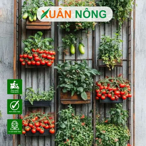 Cách Làm Chậu Cây Trồng Trên Sân Thượng: Từ Thùng Xốp, Gỗ Đến Bồn Gạch Cách Làm Chậu Cây Trồng Trên Sân Thượng: Từ Thùng Xốp, Gỗ Đến Bồn Gạch