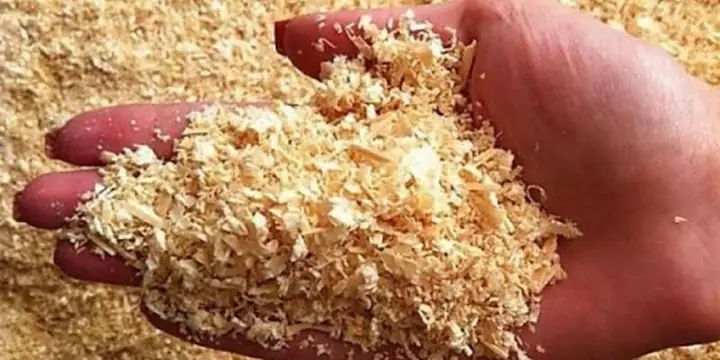 Cách Làm Đất Mùn Hữu Cơ Cho Cây Cảnh Tại Nhà: Hướng Dẫn An Toàn Cách Làm Đất Mùn Hữu Cơ Cho Cây Cảnh Tại Nhà: Hướng Dẫn An Toàn