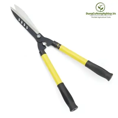 Cách Làm Giá Thế Xơ Dừa Trồng Lan: Chọn, Xử Lý Và Sử Dụng Cách Làm Giá Thế Xơ Dừa Trồng Lan: Chọn, Xử Lý Và Sử Dụng