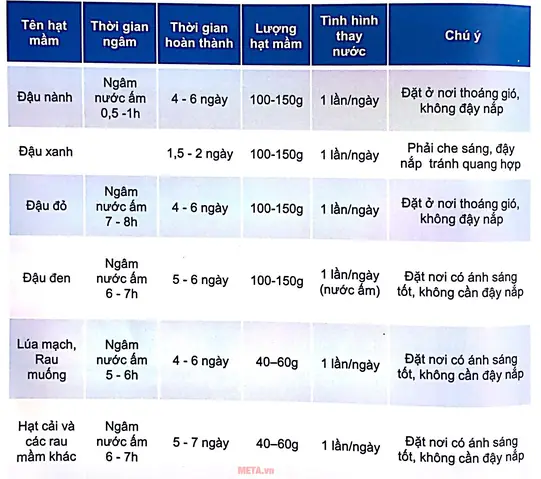Cách Làm Máy Trồng Rau Sạch Tại Nhà Với Ống Nhựa PVC