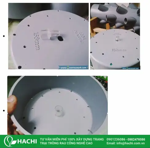 Cách Làm Thùng Trồng Cải Tiến Thủy Canh Tại Nhà Từ A–Z Cách Làm Thùng Trồng Cải Tiến Thủy Canh Tại Nhà Từ A–Z