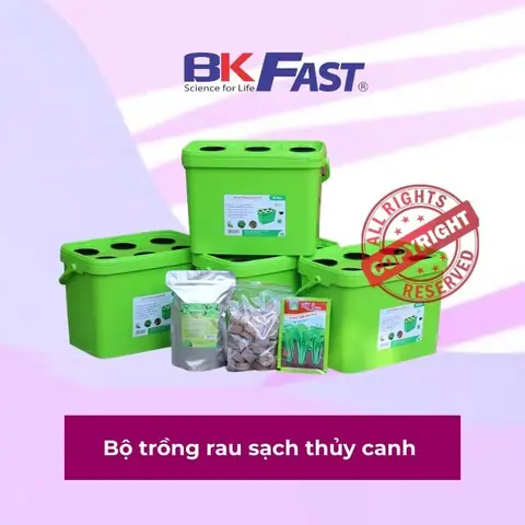 Cách Làm Thùng Xốp Cải Tiến Để Trồng Rau: Tạo Hệ Thống Tự Giữ Nước Tại Nhà Cách Làm Thùng Xốp Cải Tiến Để Trồng Rau: Tạo Hệ Thống Tự Giữ Nước Tại Nhà