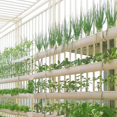 Cách Lắp Ráp Giàn Trồng Rau Thủy Canh Hồi Lưu Bằng Ống PVC Tại Nhà