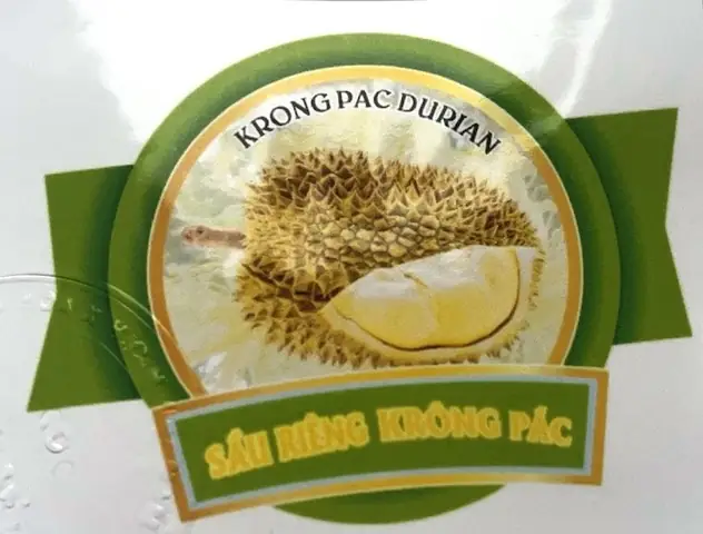 Cách Lên Líp Và Đắp Mô Trồng Sầu Riêng Ở Miền Tây: Kích Thước & Quy Trình Cách Lên Líp Và Đắp Mô Trồng Sầu Riêng Ở Miền Tây: Kích Thước & Quy Trình