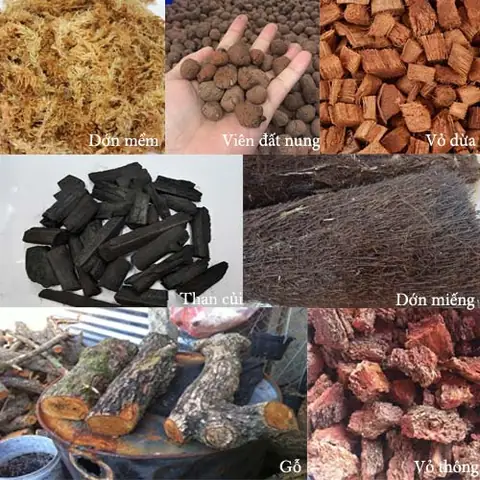 Hướng Dẫn Cách Ngâm Và Xử Lý Giá Thể Trồng Lan Đúng Chuẩn Theo Từng Loại: Công Thức, Tỷ Lệ, Thời Gian & Mẹo Chuyên Gia Hướng Dẫn Cách Ngâm Và Xử Lý Giá Thể Trồng Lan Đúng Chuẩn Theo Từng Loại: Công Thức, Tỷ Lệ, Thời Gian & Mẹo Chuyên Gia