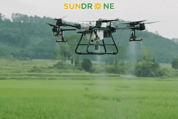 Cách Pha Và Phun Nước Ớt Trị Sâu Cho Cây Trồng