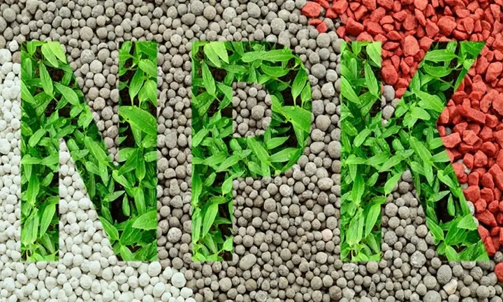 Cách Xử Lý Bùn Trồng Sen Tại Nhà: Làm Bùn Mới Và Cải Tạo Bùn Cũ Cách Xử Lý Bùn Trồng Sen Tại Nhà: Làm Bùn Mới Và Cải Tạo Bùn Cũ