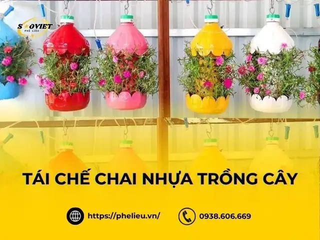 Cách Tận Dụng Chai Nhựa Trồng Hoa: 12+ Ý Tưởng Tái Chế Đẹp, Đơn Giản & An Toàn (hướng Dẫn A-Z) Cách Tận Dụng Chai Nhựa Trồng Hoa: 12+ Ý Tưởng Tái Chế Đẹp, Đơn Giản & An Toàn (hướng Dẫn A-Z)
