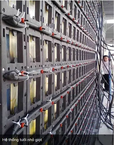 Cách Thiết Kế Tường Trồng Hoa Đẹp, Bền Và Dễ Chăm Sóc