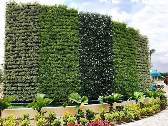 Cách Thiết Kế Tường Trồng Hoa Đẹp, Bền Và Dễ Chăm Sóc