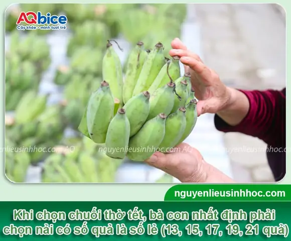 Cách Thở Khi Trồng Chuối (sirsasana) Đúng Chuẩn: Nhịp Thở 3 Giai Đoạn, Lỗi Thường Gặp & Bí Quyết Giữ Thăng Bằng Cách Thở Khi Trồng Chuối (sirsasana) Đúng Chuẩn: Nhịp Thở 3 Giai Đoạn, Lỗi Thường Gặp & Bí Quyết Giữ Thăng Bằng