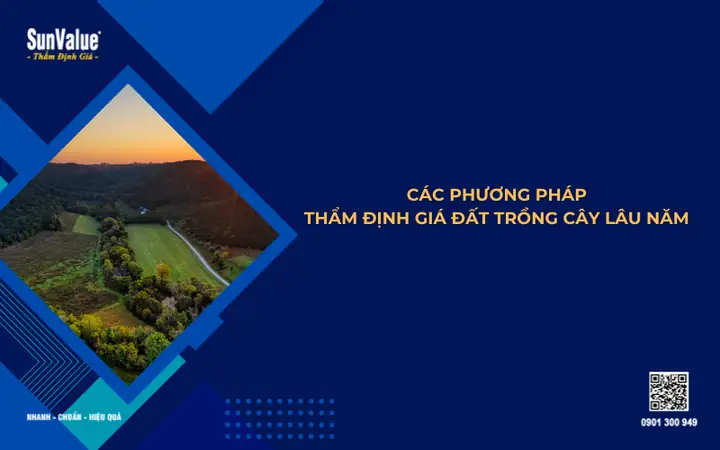 Cách Tính Giá Đất Trồng Cây Lâu Năm: Công Thức Và Các Trường Hợp Áp Dụng