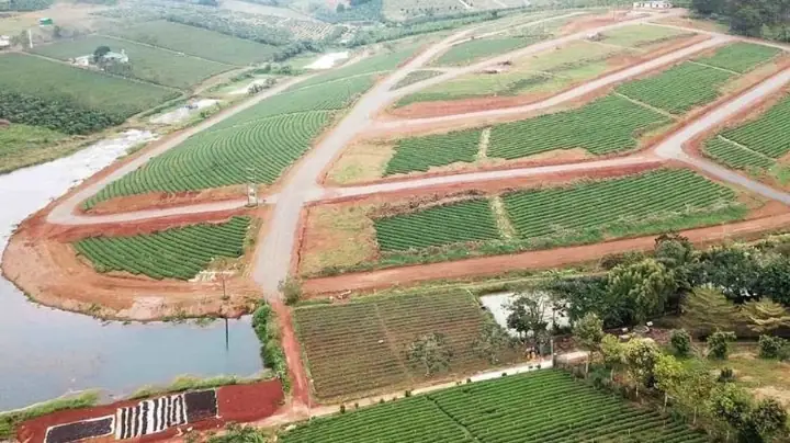Cách Tính Giá Đất Trồng Cây Lâu Năm: Công Thức Và Các Trường Hợp Áp Dụng