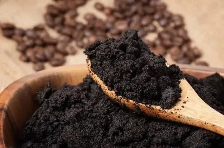 Cách Tránh Ốc Sên Khi Trồng Rau: Mẹo Phòng Trị An Toàn Không Cần Thuốc Cách Tránh Ốc Sên Khi Trồng Rau: Mẹo Phòng Trị An Toàn Không Cần Thuốc