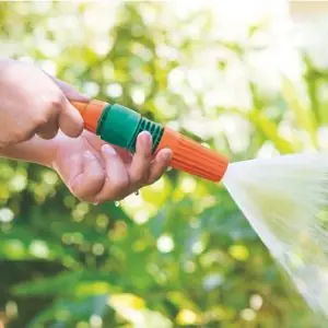 Cách Trộn Đất Trồng Cây Hương Thảo: Công Thức, Tỷ Lệ Và Lưu Ý Chăm Sóc