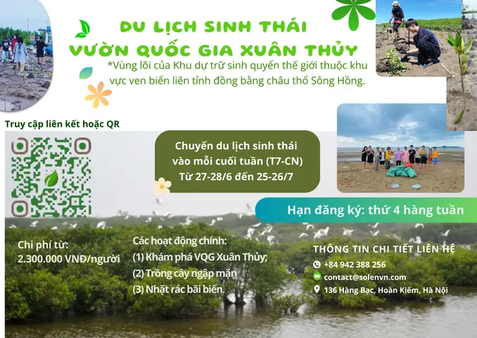 Cách Trồng 6 Loài Cây Ngập Mặn Theo Từng Vùng Triều: Kỹ Thuật Và Chăm Sóc Cách Trồng 6 Loài Cây Ngập Mặn Theo Từng Vùng Triều: Kỹ Thuật Và Chăm Sóc