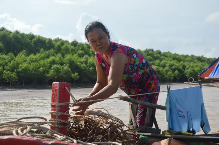 Cách Trồng 6 Loài Cây Ngập Mặn Theo Từng Vùng Triều: Kỹ Thuật Và Chăm Sóc Cách Trồng 6 Loài Cây Ngập Mặn Theo Từng Vùng Triều: Kỹ Thuật Và Chăm Sóc