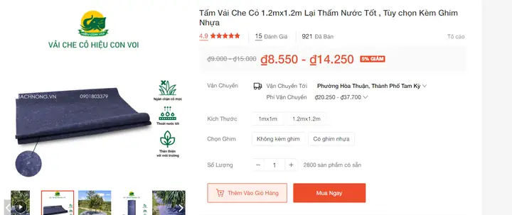 Cách Trồng Bơ Trên Sân Thượng: Chọn Giống, Trồng Chậu Và Chăm Sóc Cách Trồng Bơ Trên Sân Thượng: Chọn Giống, Trồng Chậu Và Chăm Sóc